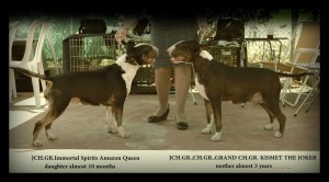 Matrix with mama Lava