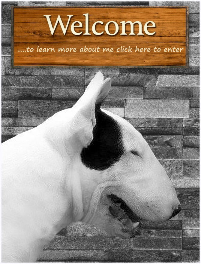 GR. CH., GRAND CH​.GR. MED. WIN­NER ’12 BENI