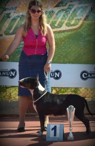 Φωτογραφίες Εκθέσεων μορφολογίας – LAVA (3)