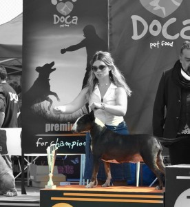 Φωτογραφίες Εκθέσεων μορφολογίας – LAVA (4)