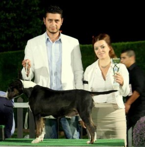 Φωτογραφίες Εκθέσεων μορφολογίας – LAVA (6)