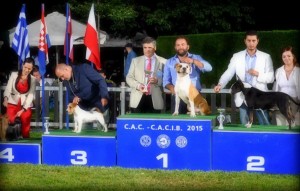 Φωτογραφίες Εκθέσεων μορφολογίας – LAVA - απολέσματα