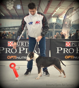 Φωτογραφίες Εκθέσεων μορφολογίας – MATRIX (2)